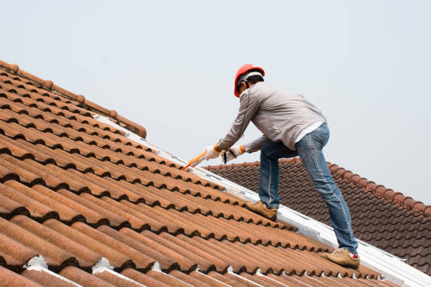 Best Roof Moss and Algae Removal  in Byron, IL